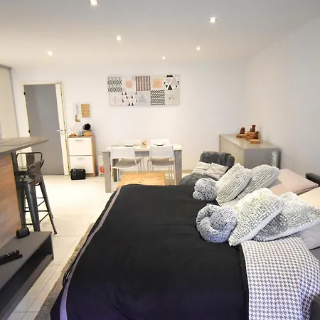 Forum - Spacieux - Confortable - Terrasse -clim-wifi