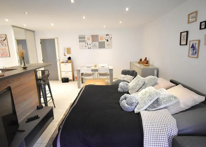 Forum - Spacieux - Confortable - Terrasse -clim-wifi